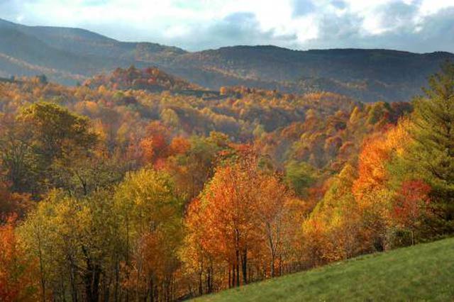 Photo of trees and mountains in the George Washington National Forest in the fall.